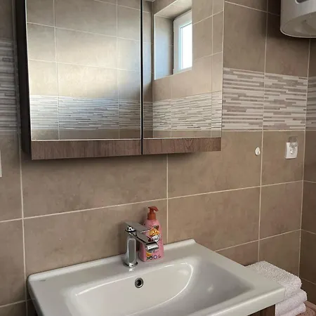 Apartman Surcin Ledine